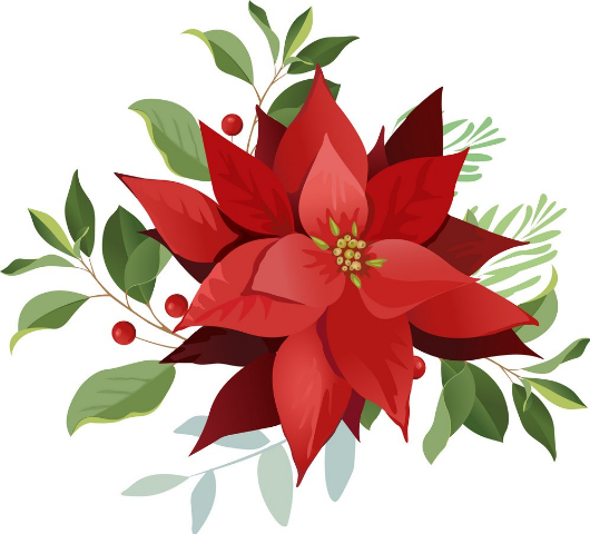 Poinsettia Flower Emblem - Copy